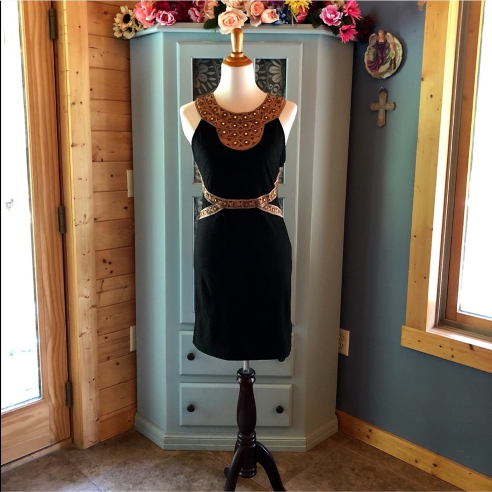 FREE PEOPLE DRESS   Gorgeous!!